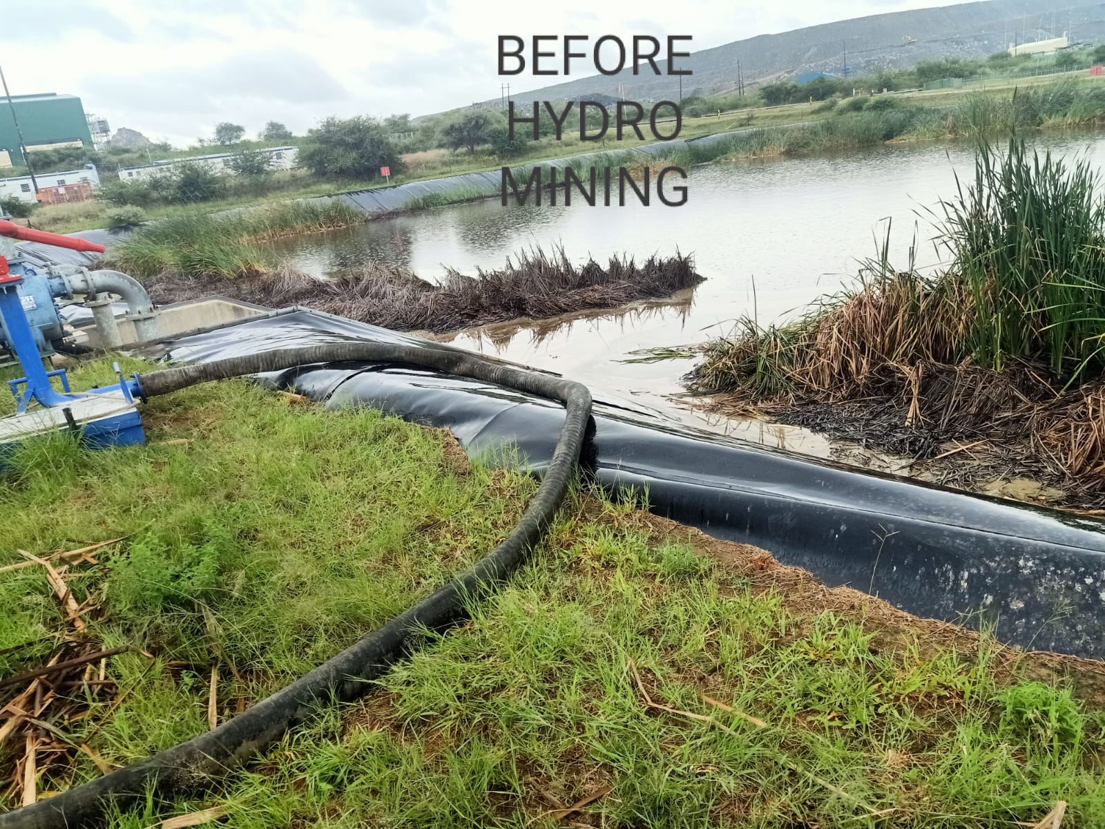 Dam Cleaning